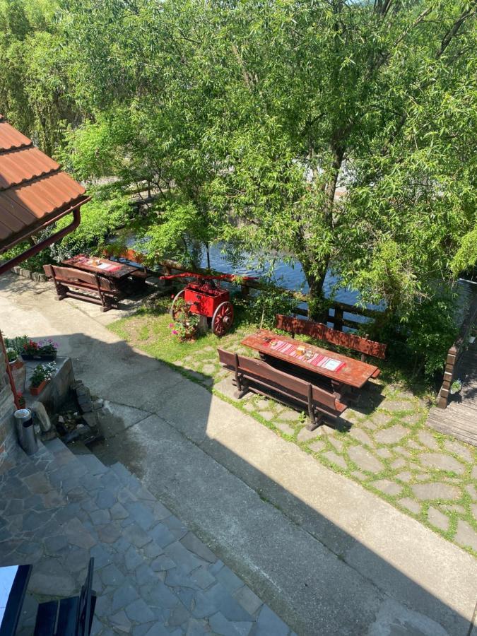 Pensiune păstrăvărie La pintea haiducu Deseşti Exterior foto