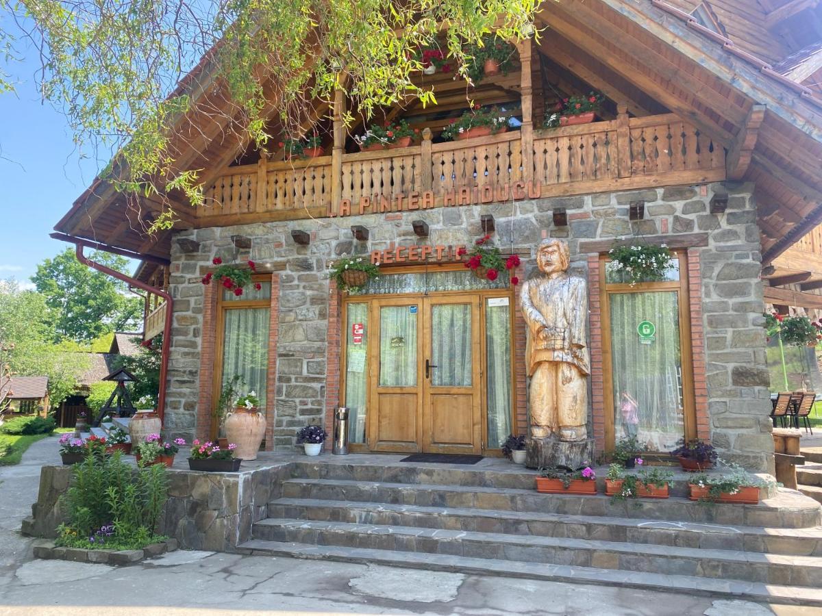 Pensiune păstrăvărie La pintea haiducu Deseşti Exterior foto