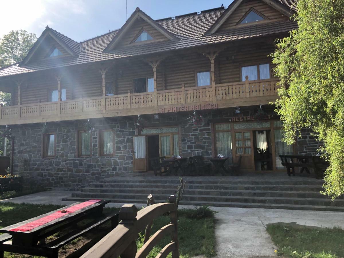 Pensiune păstrăvărie La pintea haiducu Deseşti Exterior foto