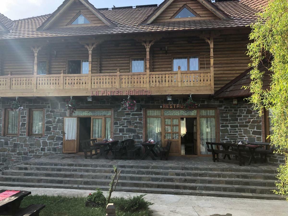 Pensiune păstrăvărie La pintea haiducu Deseşti Exterior foto