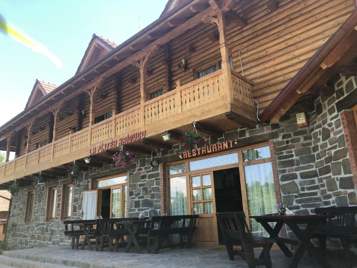 Pensiune păstrăvărie La pintea haiducu Deseşti Exterior foto